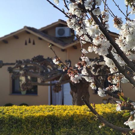 바니올레스 El Raco Del Puig 빌라 외부 사진